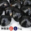 【神西湖 しじみ　Lサイズ1kg(1キロ)】高評価レビュー500件突破！！島根県・神西湖の砂抜き冷凍しじみ（シジミ）Lサイズ1kg【送料無料】【冷凍】【冷凍シジミ】【国産】【砂出し】【しじみ汁】