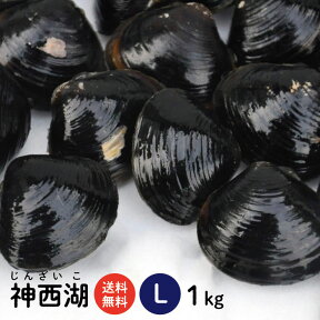 【送料無料】 神西湖 砂抜き済 冷凍しじみ Lサイズ 1kg（1kg×1袋、1キロ）高評価レビュー500件突破！！島根県・神西湖の砂抜き冷凍しじみ（シジミ）【国産　蜆　土用しじみ　冷凍シジミ　大和しじみ　時短 しじみ汁　オルニチン　産直　お取り寄せ　母の日　父の日】