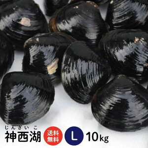 神西湖しじみLサイズ10kg