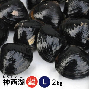 神西湖しじみLサイズ2kg
