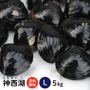 神西湖しじみLサイズ5kg