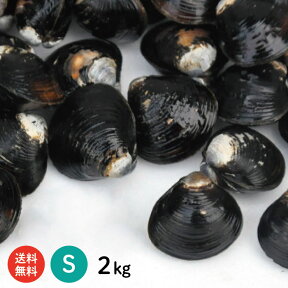 【送料無料】 宍道湖産 砂抜き済 冷凍しじみ Sサイズ 2kg（1kg×2袋、2キロ）青森県・十三湖に並ぶ日本有数の漁獲量を誇る島根県・宍道湖より産地直送【国産　蜆　冷凍シジミ　大和しじみ　寒しじみ　土用しじみ　時短　しじみ汁　オルニチン　産直　お取り寄せ　母の日】