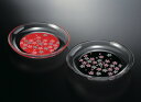 【LINE登録で5%OFF】 【ガラス×漆器】 ぬりもん de Verra 丸小皿 蒔絵 桜 【赤・黒セット】 母の日 父の日 敬老の日 プレゼント ギフト 名入れ 結婚祝い 内祝い 引出物 新築祝い 日本製