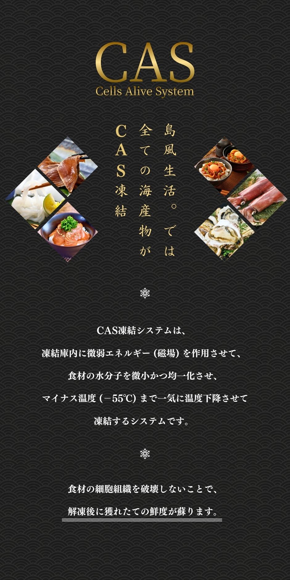 【お徳用】小さなアジちょっと干し1kg（500g×2袋）60～65枚程度　マアジ（島根県隠岐産） アジ干物 朝ごはん お弁当 おつまみ