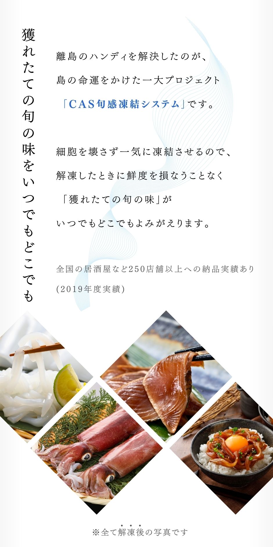【お徳用】小さなアジちょっと干し1kg（500g×2袋）60～65枚程度　マアジ（島根県隠岐産） アジ干物 朝ごはん お弁当 おつまみ
