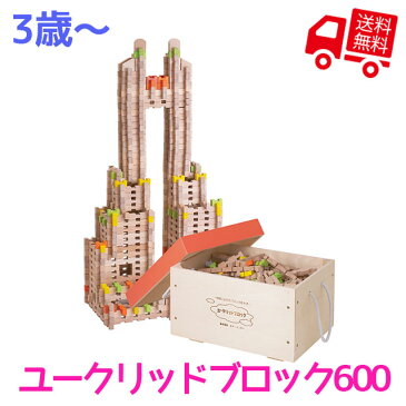 ユークリッドブロック600【 エド・インター 知育玩具 知育グッズ 教育玩具 木製 天然木 木のおもちゃ ブロック 積み木 面取り 角が丸い 空間パズル 大容量 キャスター付き木箱 男の子 女の子 ベビー キッズ 誕生日 クリスマス 子供の日 巣ごもり おうち時間 三歳 3歳 】