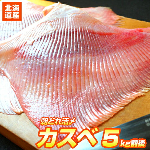 【 送料無料 】 活〆カスベ 5kg箱 | 6～8枚入り 朝獲れ 活締め 下処理済み 北海道産 北海道 ひらめ 平目 ヒラメ 鮮魚 エイ かすべ エイヒレ 北海道の郷土料理 食材 煮物 煮付け 懐かしの味 贈答品 贈答 ギフト グルメ ギフトグルメ 贈答グルメ 国産鮮魚 生鮮食材 人気 珍味のサムネイル