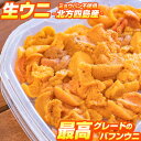 バフンウニ 【 北海道の市場よりお届け 】 生うに 1パック 80g × 1 | 北方四島産 ミョウバン不使用 ウニ うに 雲丹 海栗 塩水 塩水ウニ 生うに 生ウニ 冷蔵うに ウニ丼 刺身 パスタ 軍艦 手巻き寿司 寿司ネタ 海鮮 北海道 お土産 バフンウニ お中元 中元 ギフト 取り寄せ 初夏のグルメ