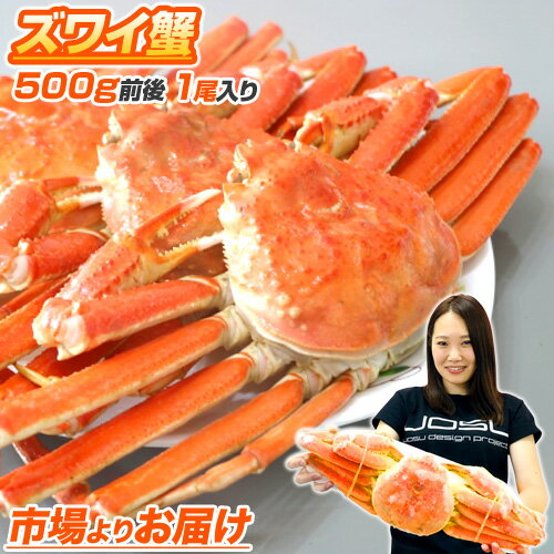 【 送料無料 】 ズワイガニ姿 500g前後 | 年末年始 年末予約可 お正月 正月 お歳暮 歳暮 ズワイガニ ずわい蟹 ズワイ蟹 ずわいがに 蟹 ズワイ ずわい 蟹姿 冷凍 ボイル ボイル蟹 カニミソ カニみそ 贈答品 贈答 ギフト 北海道 北海道土産 土産 お土産 オホーツク海