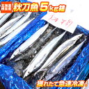 【 北海道産 】 根室産 秋刀魚 5kg箱 | 50尾前後 サンマ さんま 秋刀魚 北海道産 北海道 根室産 根室 根室沖 太平洋 ワタ入り 冷凍 急速冷凍 冷凍さんま 冷凍秋刀魚 ギフト グルメギフト ギフトグルメ お祝い 中元 御中元 お中元 暑中見舞い