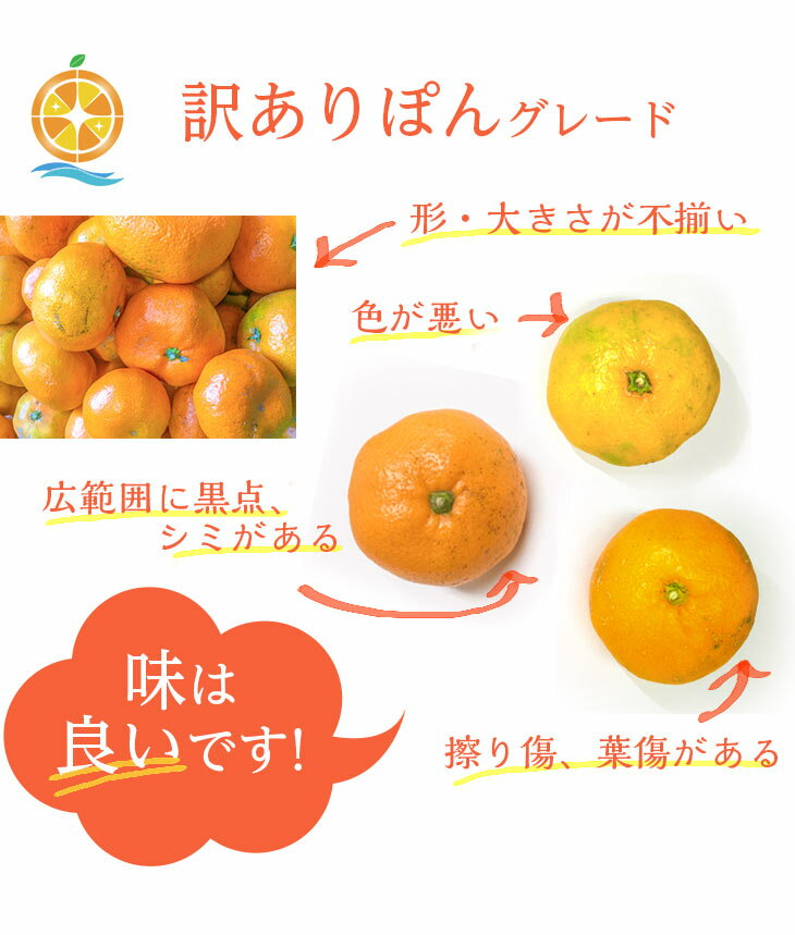 【訳ありみかん】由良みかん訳ありぽん5kg静岡ブランドみかん西浦みかん高級【訳ありみかん訳ありミカンわけありみかん訳あり青島ミカン青島静岡みかんミカン甘いみかん甘いミカン美味しいみかんおいしいみかん高級みかん5kg国産お取り寄せ】