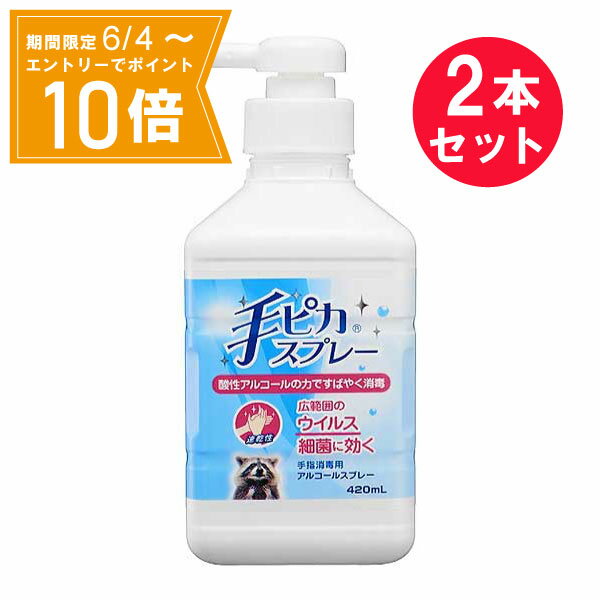 ＼P10倍／エントリーでスーパーセール期間中店内全品ポイント10倍★6/4 20:00～6/11 01：59まで『2本セット』【指定医薬部外品】手ピカスプレー 420mL 健栄製薬 殺菌・消毒・除菌