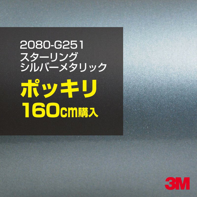 3M åԥ󥰥ե  åԥ󥰥 2080-G251 󥰥С᥿å W1524mm160cm 20...