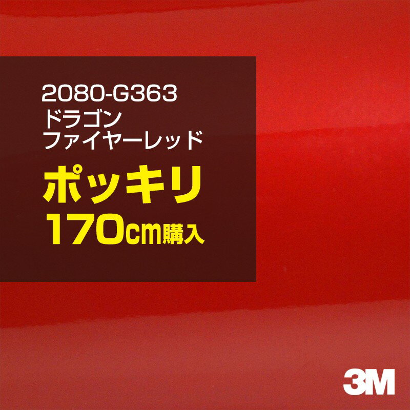 3M åԥ󥰥ե  åԥ󥰥 2080-G363 ɥ饴ե䡼å W1524mm170cm 2080G363  ...