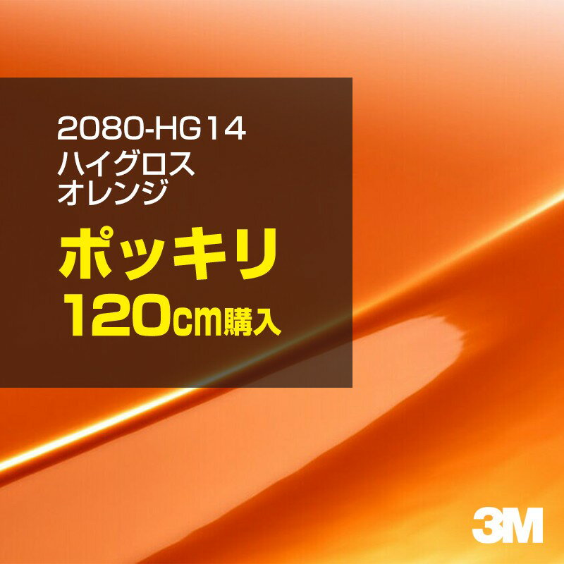 3M åԥ󥰥ե  åԥ󥰥 2080-HG14 ϥ  W1524mm120cm 2080HG1...