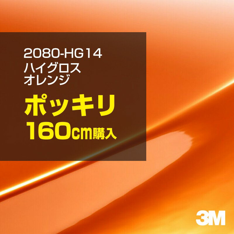 3M åԥ󥰥ե  åԥ󥰥 2080-HG14 ϥ  W1524mm160cm 2080HG14  ...