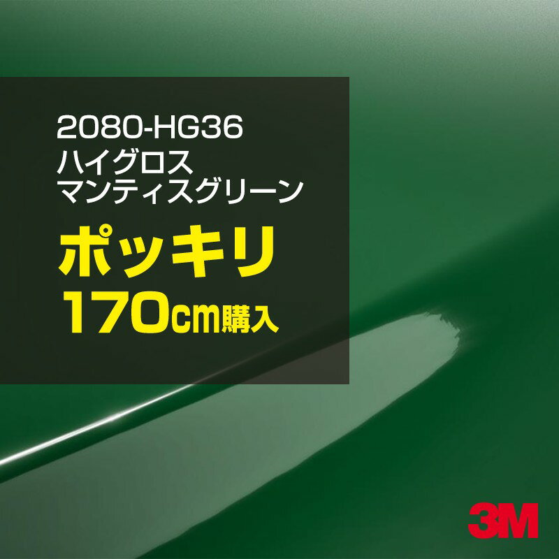 3M åԥ󥰥ե  åԥ󥰥 2080-HG36 ϥ ޥƥ꡼ W1524mm170cm 2080HG36 ...