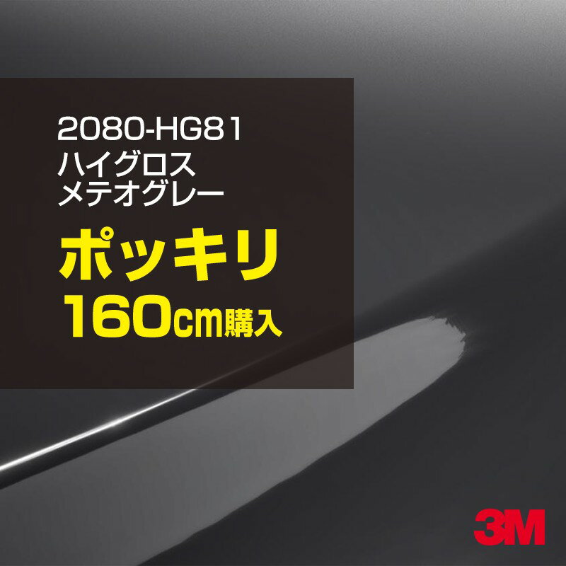 3M åԥ󥰥ե  åԥ󥰥 2080-HG81 ϥ ƥ졼 W1524mm160cm 2080HG81  ...