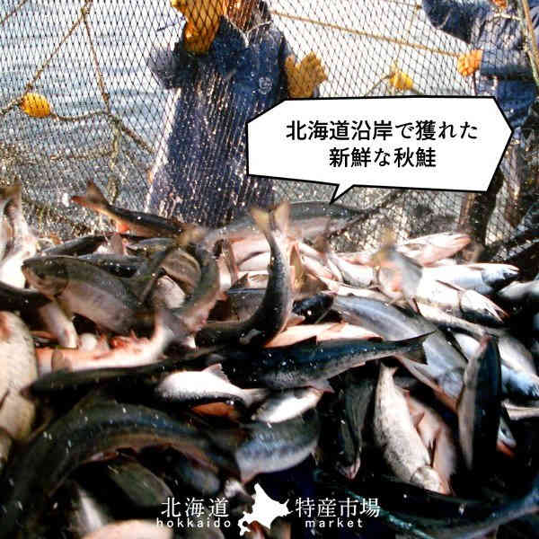 いくら 北海道産 イクラ 醤油漬け 1kg（500g×2箱） 魚卵 秋鮭卵 北の大地 産地直送 お取り寄せ おすすめ［お祝いギフト］