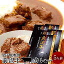 前沢牛 ビーフカレー 5食分 レトルト 奥州岩手県産 黒毛 和牛 前沢牛オガタ 前澤牛 産地直送［ 母の日 ギフト プレゼント］