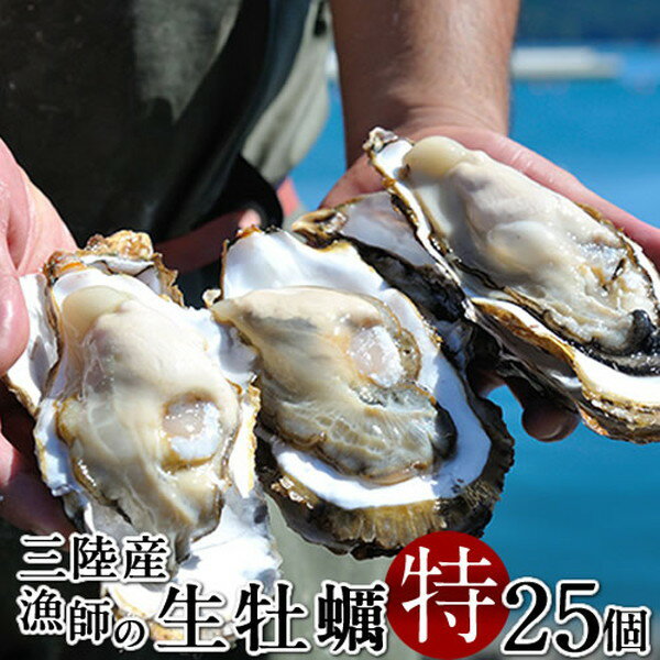 生牡蠣 殻付き 特大 夢牡蠣 25個 生食用 生ガキ 大粒生牡蠣 特大 バーベキュー【送料無料】［お中元 ギフト］