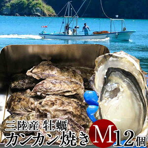 牡蠣 カンカン焼き セット 宮城県 生ガキ M 12個入 生食用 かんかん焼 宮城県産 生ガキ 缶付き カキ 直火 ガンガン焼き 鮮度抜群 お取り寄せ 東北 お土産 海鮮 海の幸 産地直送 送料無料 プレゼント［お中元 ギフト］