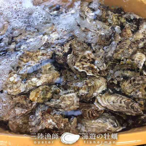 牡蠣 カキ 生牡蠣 殻付き M 28個 生食用 生ガキ 宮城県産 漁師直送 生かき お取り寄せ バーベキュー 鮮度抜群 東北 お土産 海鮮ギフト 海の幸 産地直送 送料無料 プレゼント［敬老の日 ギフト］