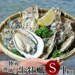 牡蠣 カキ 生ガキ 生牡蠣 S 10個［1kg］殻付き 生食用 食べやすい大きさ 生ガキ 宮城県産 お取り寄せ バーベキュー 鮮度抜群 東北 お土産 海鮮ギフト 海の幸 産地直送［ 母の日 ギフト プレゼント］