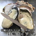 牡蠣ナイフ 1本 殻付きカキの殻むき専用 簡易ナイフ ヘラ バーベキュー 便利 調理器具