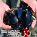 ムール貝 活ムール貝 [中 1kg] 殻付き 生ムール貝 三陸 朝どり 通販 人気 ランキング 鮮度抜群 お取り寄せ 東北 お土…