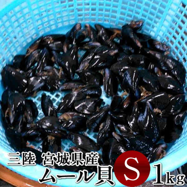 ムール貝 活ムール貝 [小 1kg] 殻付き 生ムール貝 三陸 朝どり 通販 人気 ランキング 鮮度抜群 お取り寄せ 東北 お土…