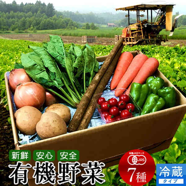 日本の有機野菜セット 旬のおまかせ7種類 全国ご当地生産者のこだわり有機栽培 健康 ベジタブル スムー..