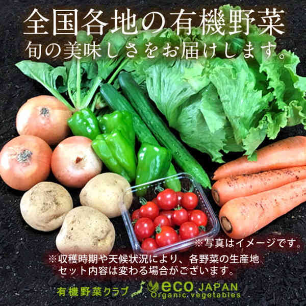 日本の有機野菜セット 旬のおまかせ8種類 全国ご当地生産者のこだわり有機栽培 健康 ベジタブル スムージー 野菜材料 おすすめ 国産 お土産 お取り寄せ プレゼント 産地直送 送料無料［敬老の日 ギフト］