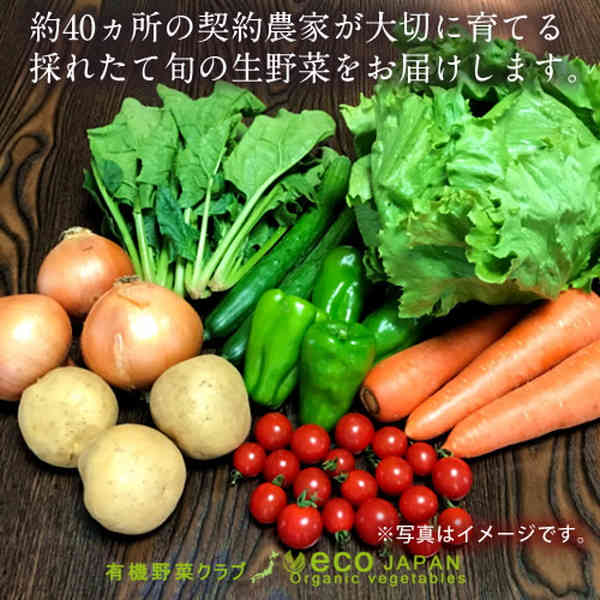 日本の有機野菜セット 旬のおまかせ8種類 全国ご当地生産者のこだわり有機栽培 健康 ベジタブル スムージー 野菜材料 おすすめ 国産 お土産 お取り寄せ プレゼント 産地直送 送料無料［敬老の日 ギフト］