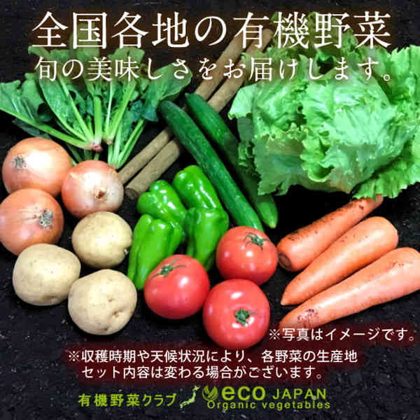 日本の有機野菜セット 旬のおまかせ9種類 全国ご当地生産者のこだわり有機栽培 健康 ベジタブル スムージー 野菜材料 おすすめ 国産 お土産 お取り寄せ プレゼント 産地直送［ 父の日 ギフト プレゼント］ 2