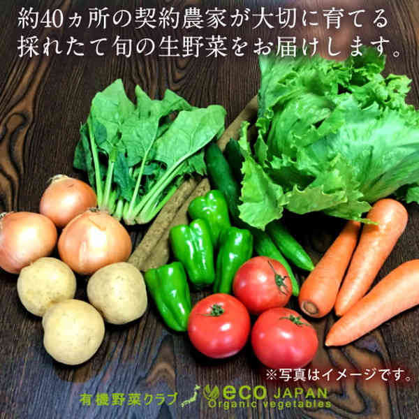 日本の有機野菜セット 旬のおまかせ9種類 全国ご当地生産者のこだわり有機栽培 健康 ベジタブル スムージー 野菜材料 おすすめ 国産 お土産 お取り寄せ プレゼント 産地直送［ 父の日 ギフト プレゼント］ 3