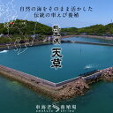 島育ち 車海老 刺身 活〆冷凍【ML】1.5kg［45-66尾］天草 車えび 熊本県産 大矢野島 クルマエビ 養殖場 生食 しゃぶしゃぶ エビフライ 直売所 産地直送 旬 食べ方 塩焼き おすすめ お取り寄せ通販［ 母の日 ギフト プレゼント］ 3