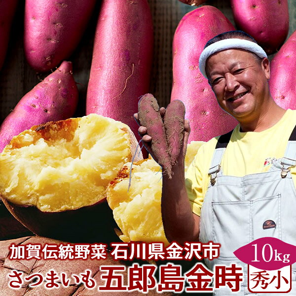 さつまいも 五郎島金時 10kg［秀・小］石川県産 金沢市 加賀野菜 ブランド さつま芋 高級 生いも 加賀百万石 伝統 秋野菜 お返し 御祝い おいしい おすすめ サツマイモ 送料無料［ 母の日 ギフト プレゼント］