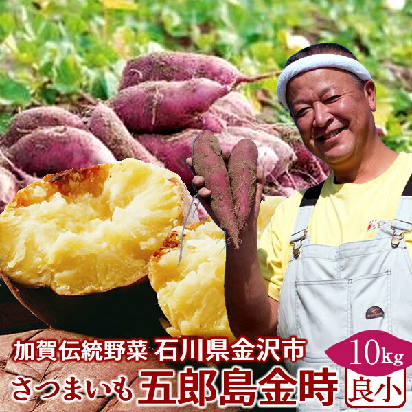 さつまいも 五郎島金時 10kg［良・小］訳あり 不揃い 石川県産 金沢市 加賀野菜 ブランド さつま芋 高級 生いも 加賀百万石 伝統 秋野菜【送料無料】［ホワイトデー ギフト］
