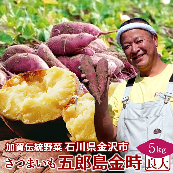 さつまいも 五郎島金時 5kg［良・大］訳あり 不揃い 石川県産 金沢市 加賀野菜 ブランド さつま芋 高級 生いも 加賀百万石 伝統 秋野菜【送料無料】［御歳暮 ギフト］