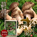 松太郎 きのこ【優品】300g（8～9本）国産 松茸×椎茸菌 芳醇キノコ まつたろう マツタケなのか シイタケなのか マツタケ×シイタケ菌 原木 伊勢の国 三重県産 茶碗蒸し 土瓶蒸し お取り寄せ 産地直送［ 母の日 ギフト プレゼント］