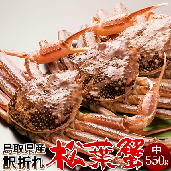【新物スタート】かに 生き 活松葉ガニ 訳あり［B中］550g×3尾 松葉蟹 活がに 鳥取県産 足折れマツバガニ 日本海ズワイガニ【送料無料】