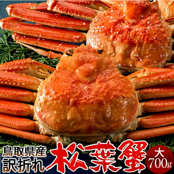 ͤǾե B700g2Τ˵2025­ޤ ܥ뾾ճ 觤ǳ ʪ Ļ踩 ֥ɥޥĥХ ܳ磻ˡΤ ...