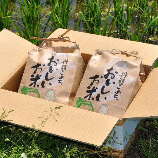献上米 おいしいごはん お米 おぼろづき［10kg］5kg×2袋 新嘗祭献穀田 冷めても美...