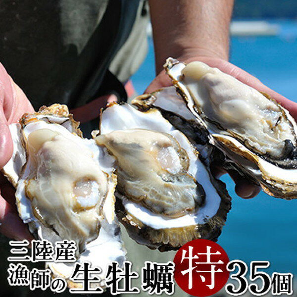 牡蠣 ブランドカキ［35個入］生牡蠣 殻付き 特大 夢牡蠣 生食用 生ガキ 大粒生牡蠣 特大 バーベキュー 鮮度抜群 お取り寄せ 東北 お土産 海鮮 海の幸 産地直送［お中元 夏の御中元ギフト］