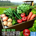 日本の有機野菜セット 旬のおまかせ9種類 全国ご当地生産者のこだわり有機栽培 健康 ベジタブル スムージー 野菜材料 おすすめ 国産 お土産 お取り寄せ プレゼ...
