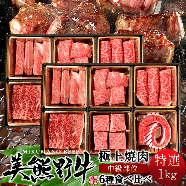 焼肉 食べ比べ 6種セット1kg（500g×2箱）［特選B］牛肉 幻の黒毛和牛 美熊野牛 部位アソート 焼き肉パ..