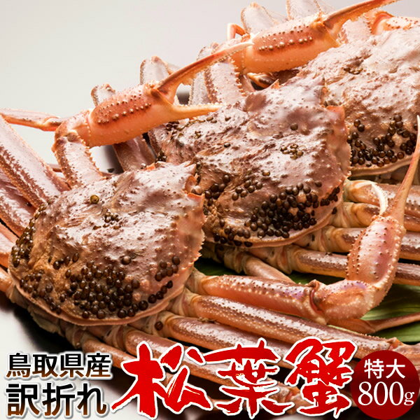 达ե B800g32025 ˲ء­ޤ  ճ ʪޤĤФ Ļ踩 ֥ɥޥĥХ ܳ磻ˡΤ դ...