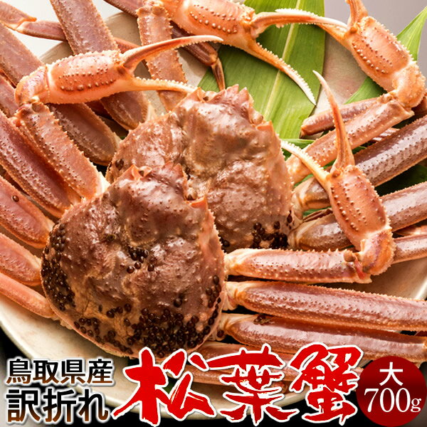 达ե B700g22025 ˲ء­ޤ  ճ ʪޤĤФ Ļ踩 ֥ɥޥĥХ ܳ磻ˡΤ դ뤵...