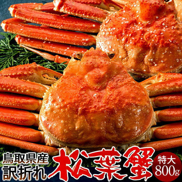 ͤǾե B800g22025 ˲ء­ޤ ܥ뾾ճ 觤ǳ ʪ Ļ踩 ֥ɥޥĥХ ܳ磻ˡΤ ...